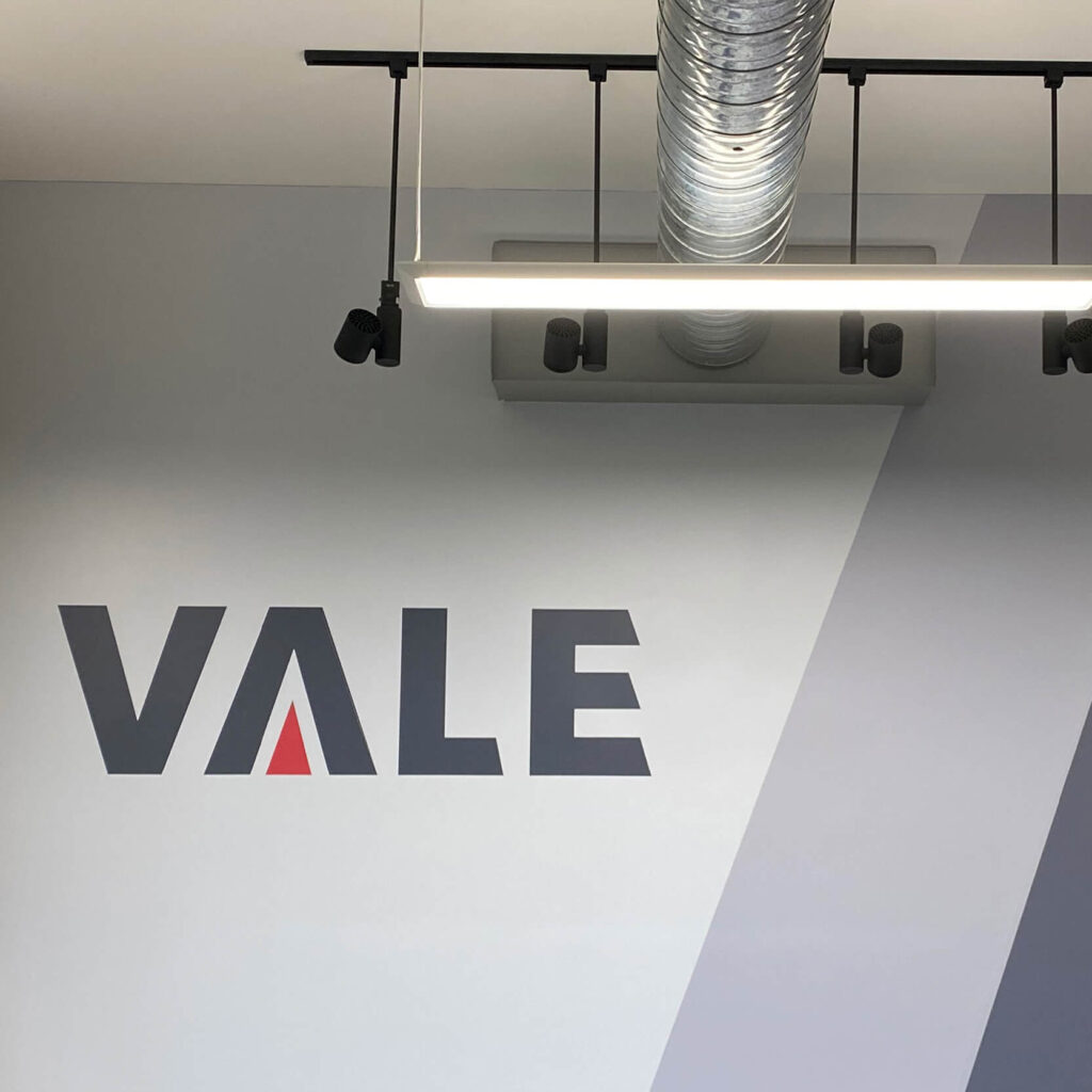 2020VALE.BrandIdentityGuide.Final_Page_23_Image_0001