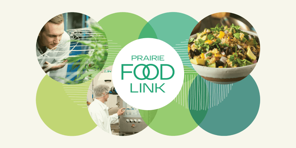 PFL.header_teal.website-feature