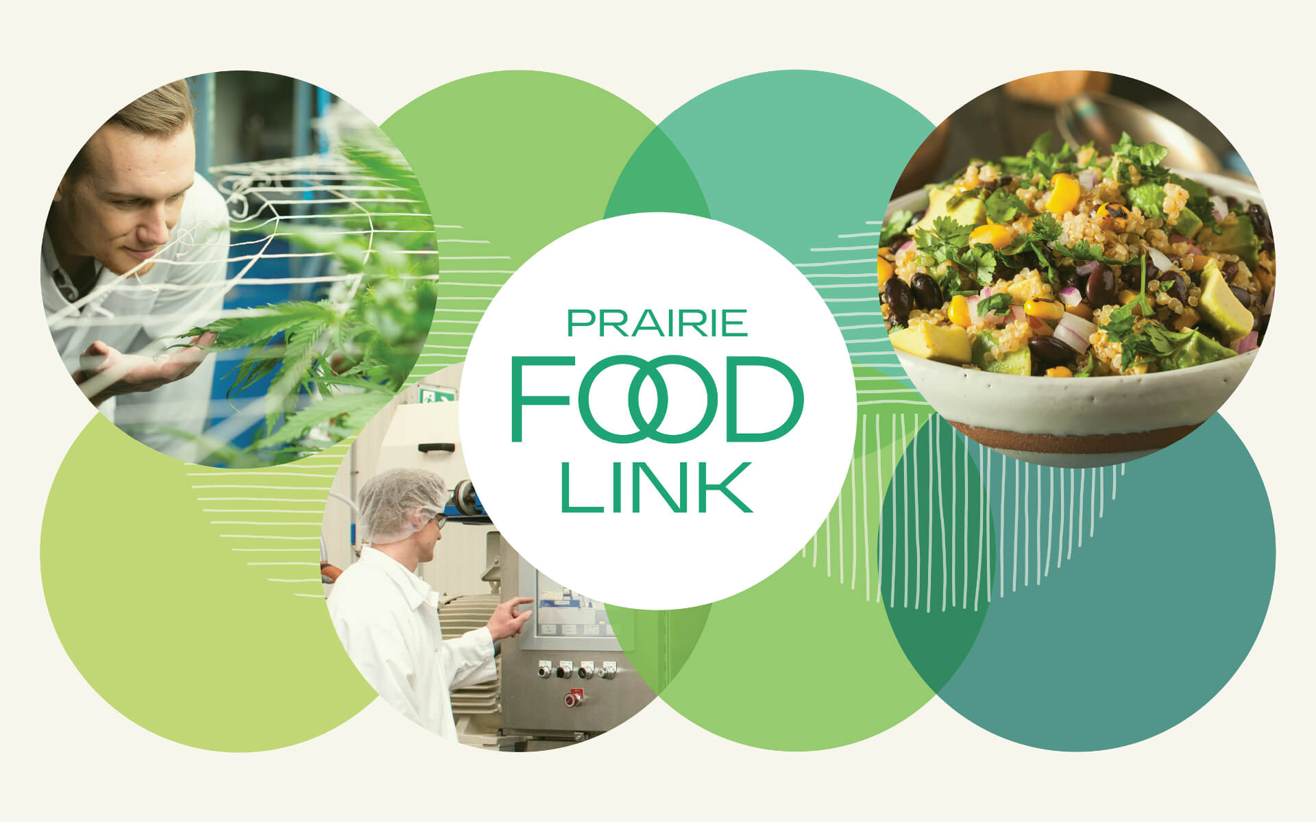 PFL.header_teal.website