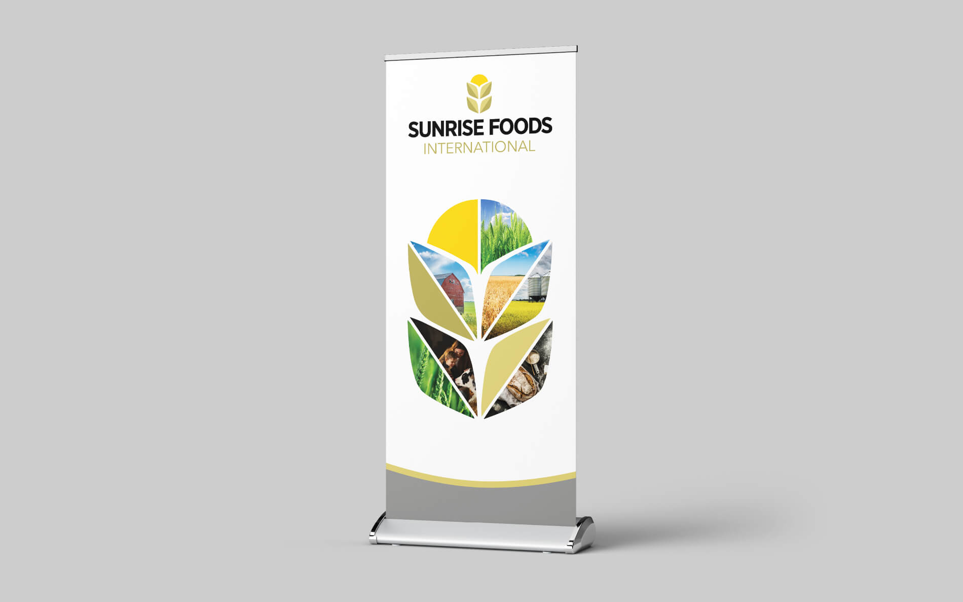 Sunrise.biofach_banners.mockup1.website