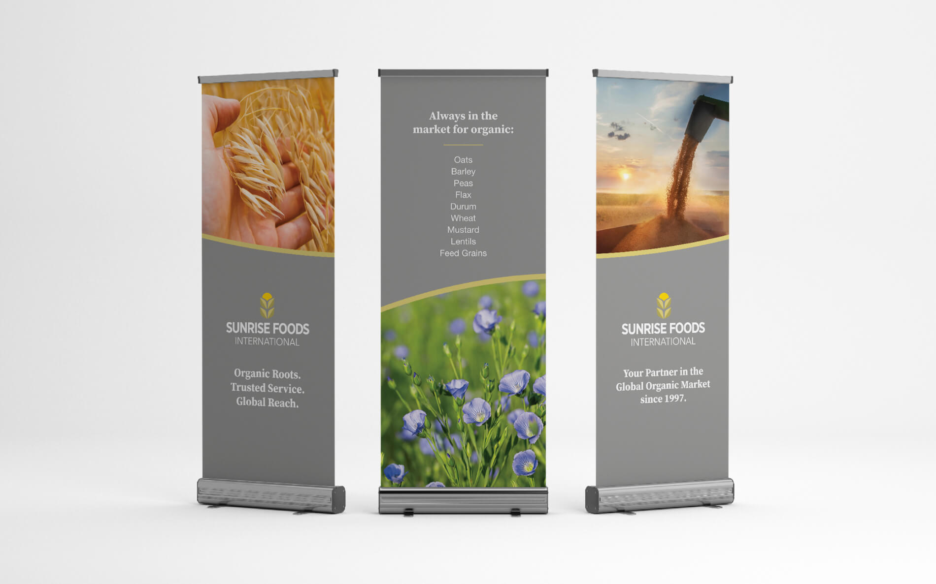 Sunrise.biofach_banners.mockup2.website