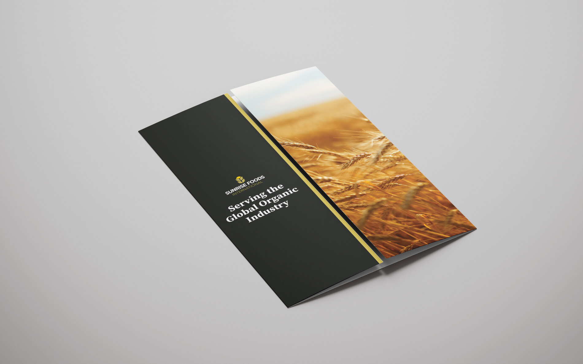 Sunrise.gatefold_brochure.mockup1.website