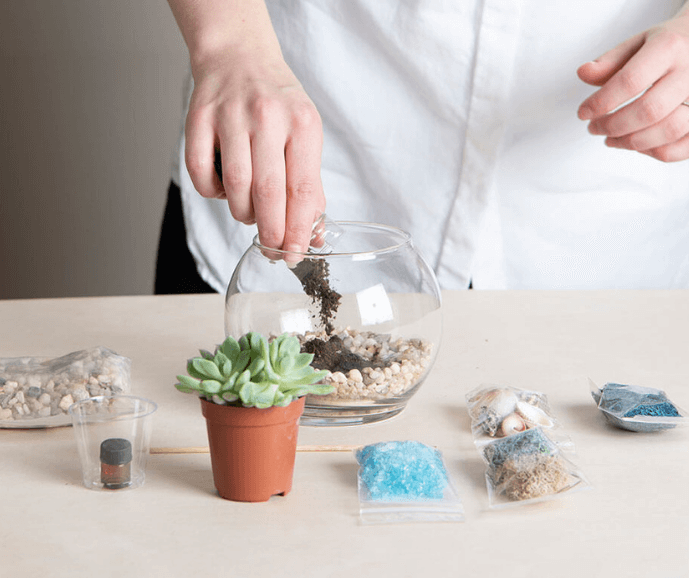 Plantventure-kit-building-overhead